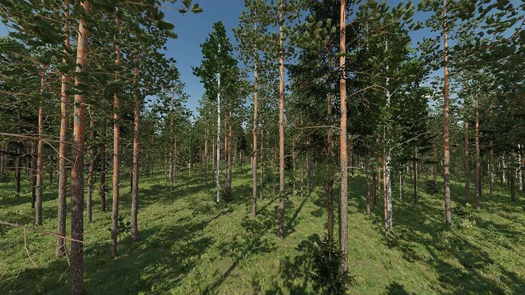 Karhuvaara Tree Pack (Prefab) v1.0 FS22 FS22 Mod Free Download