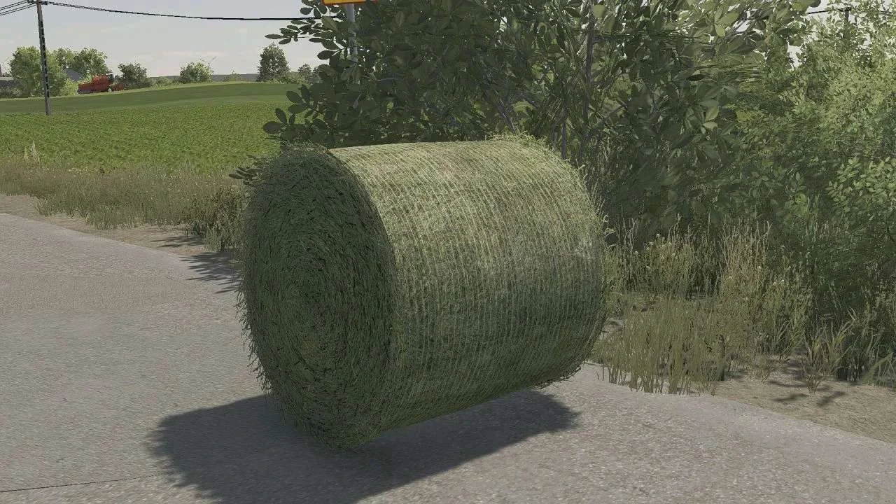 Bale texture 125cm v1.0.0.1 FS22 FS22 Mod Free Download