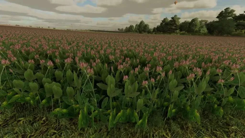 Clover and Alfalfa Texture v1.0.0.1 FS22 FS22 Mod Free Download