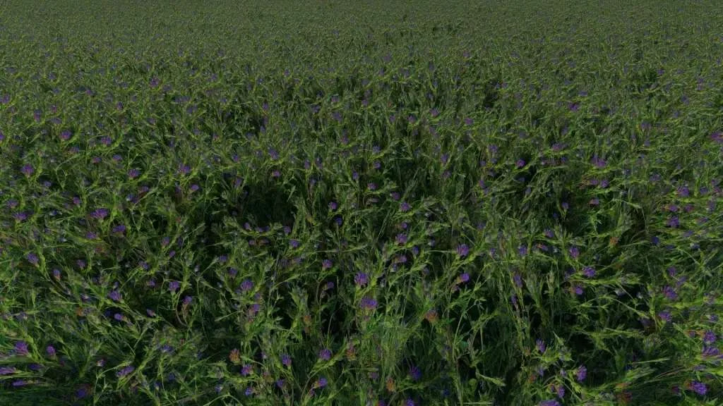 Clover and Alfalfa Texture v1.0 FS22 FS22 Mod Free Download