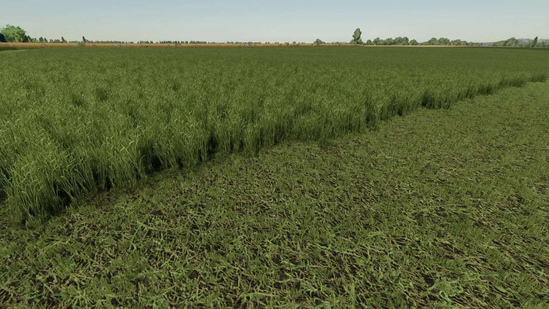 Grass Texture v1.0.0.1 FS22 FS22 Mod Free Download