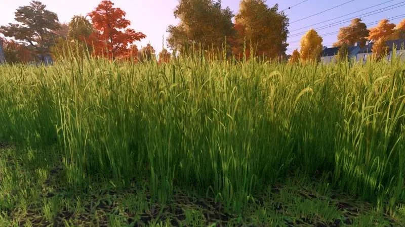 Grass Texture v1.0 FS22 FS22 Mod Free Download