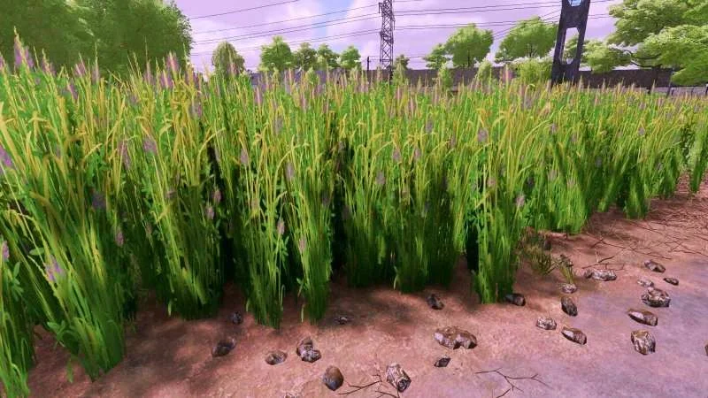 Grass texture with alfalfa v1.0 FS22 FS22 Mod Free Download