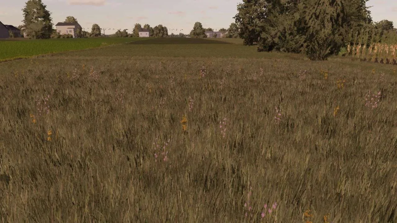 Meadow Texture v1.0 FS22 FS22 Mod Free Download