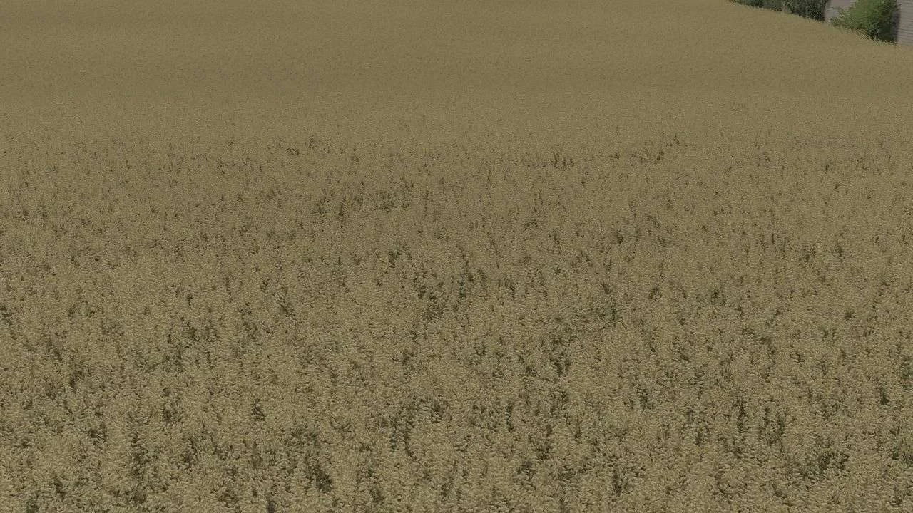 Oat Texture v1.0 FS22 FS22 Mod Free Download