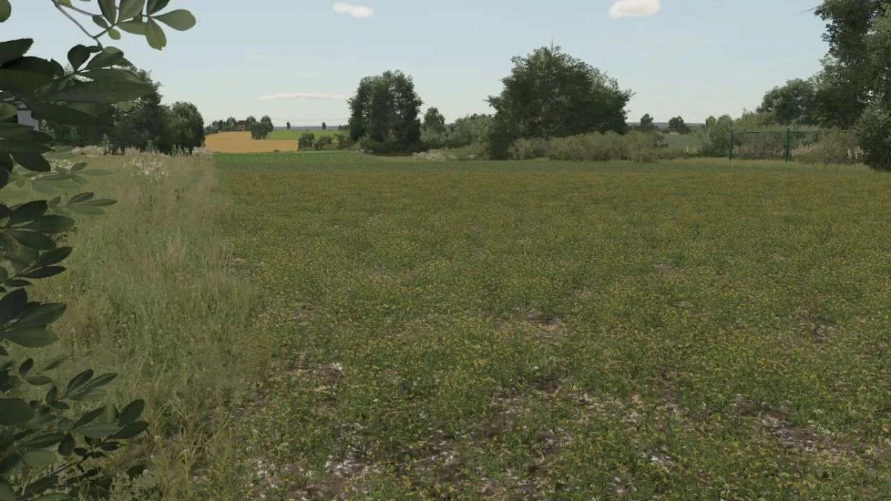 Oil Seed Radish Texture v1.0 FS22 FS22 Mod Free Download