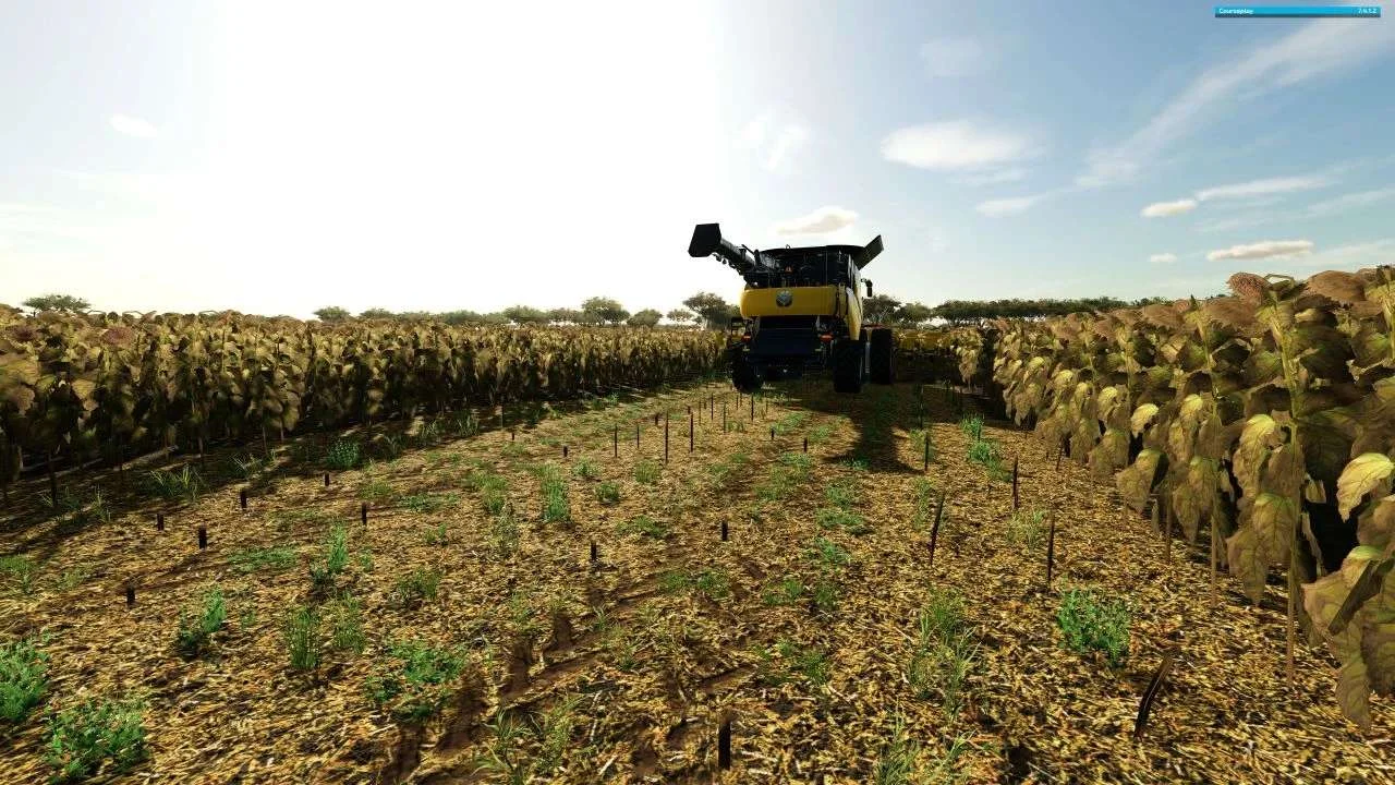 Sorghum and sunflowers foliage v1.0 FS22 FS22 Mod Free Download