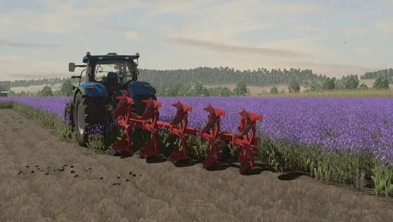Texture Facelia v1.0 FS22 FS22 Mod Free Download