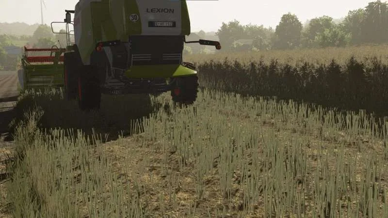Textures of canola 2 v1.0 FS22 FS22 Mod Free Download