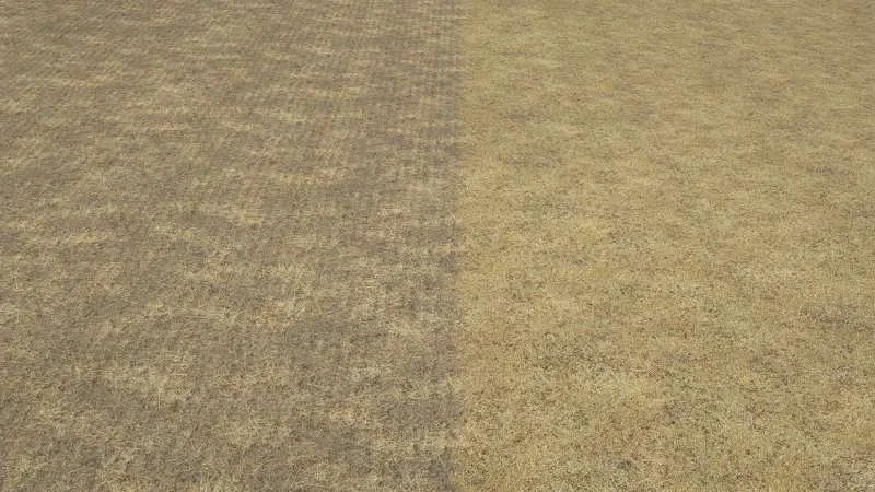 Textures of stubble and no-plow sowing after stubble v1.0 FS22 FS22 Mod Free Download
