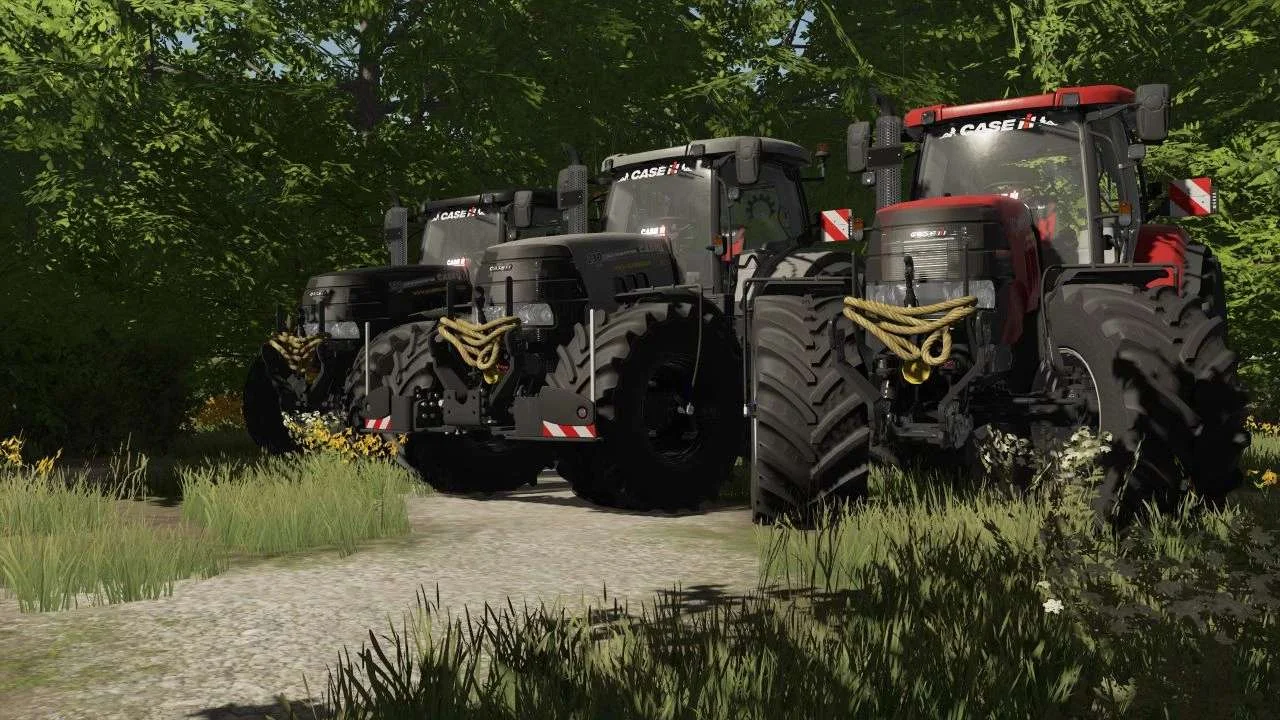 Case Puma CVX Tier 3 Lohnunternehmen Edition v1.0.0.1 FS22