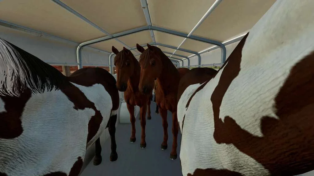 Animal Transport Trailer Pack v1.0 FS22 FS22 Mod Free Download