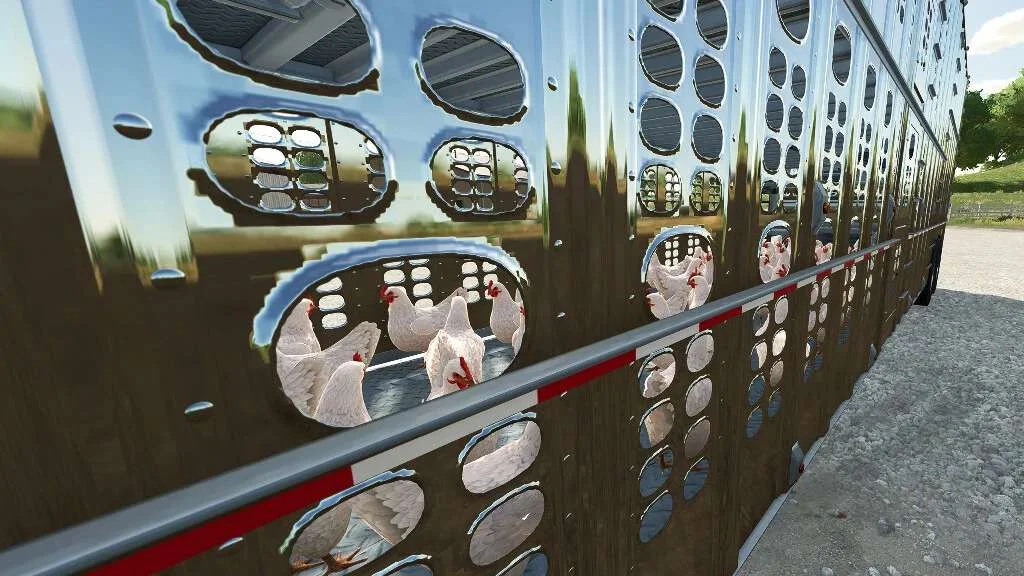 Chicken Transport Trailers v1.0 FS22 FS22 Mod Free Download