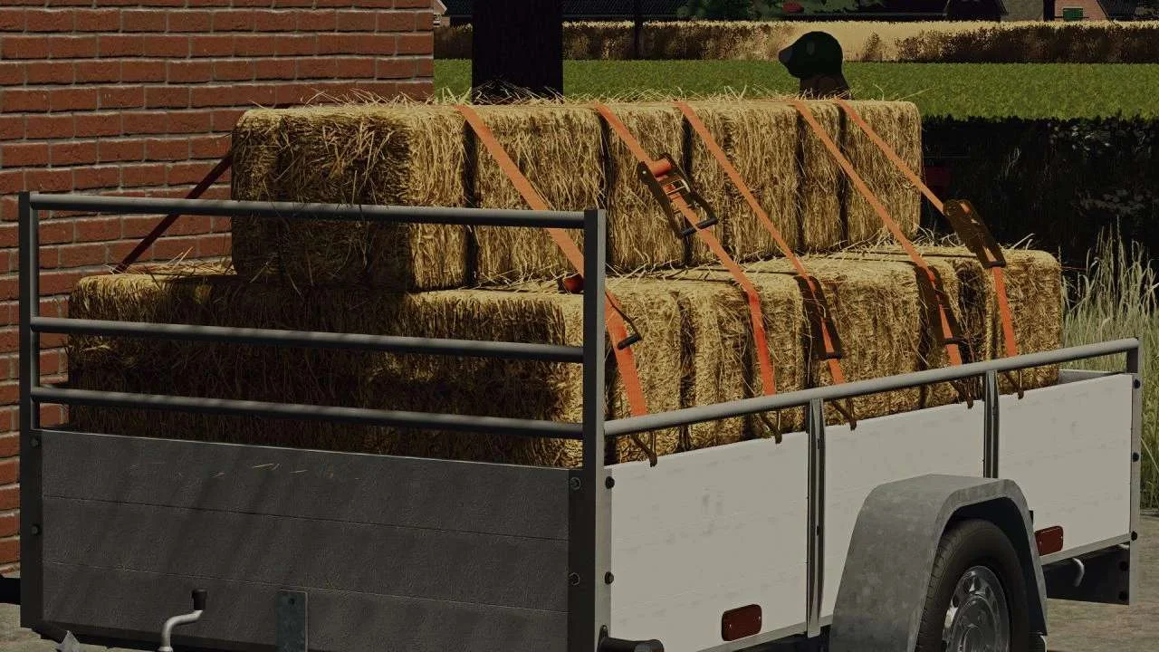Saris Trailer DW 150 v1.1 FS22 FS22 Mod Free Download