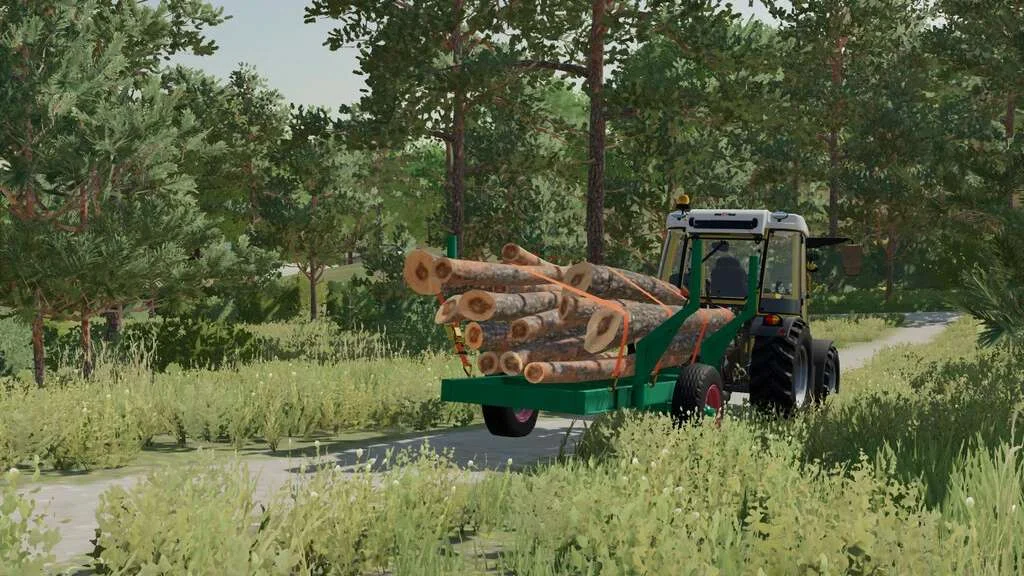Selfmade Forest Trailer v1.0 FS22 FS22 Mod Free Download