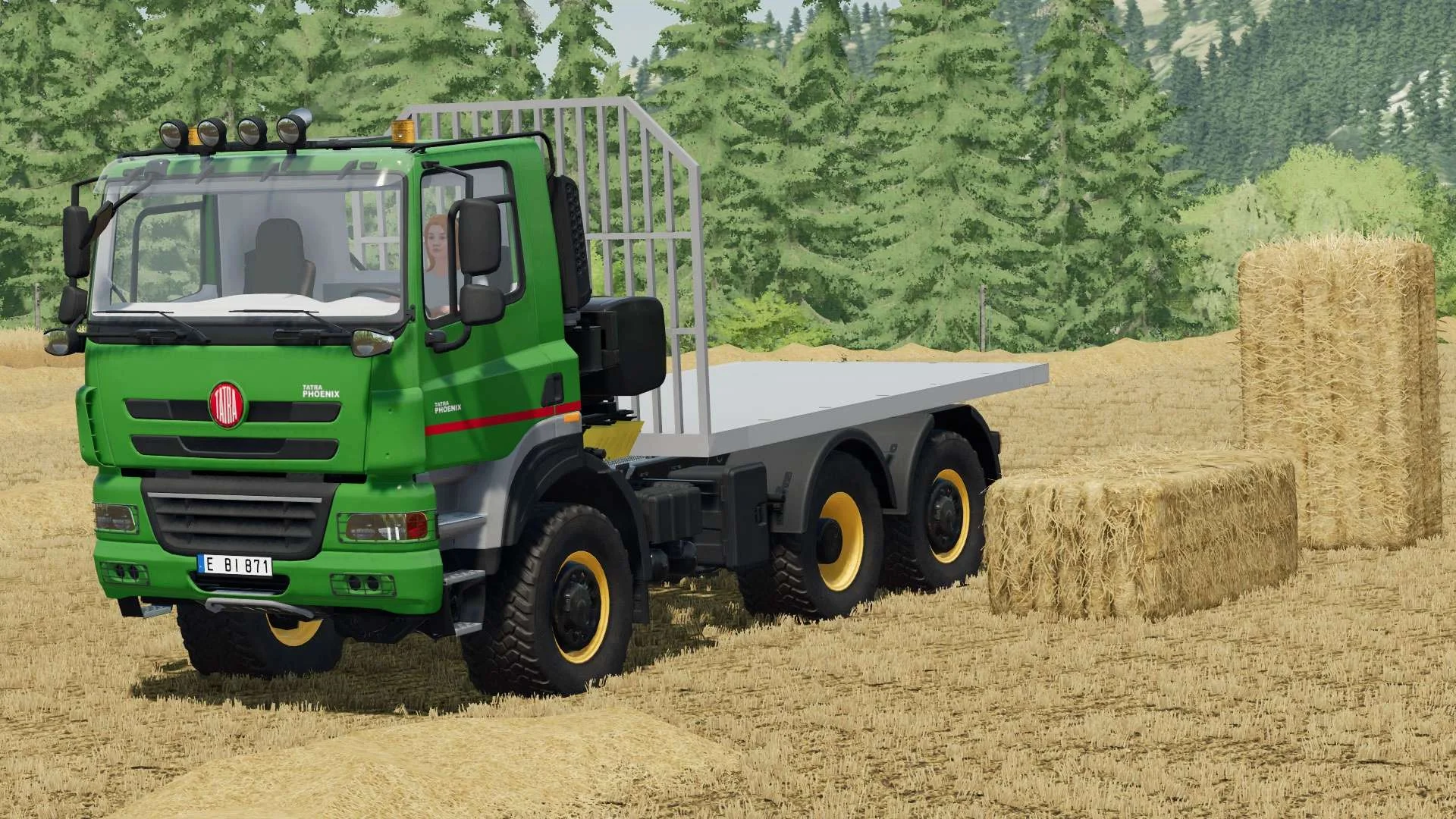 Tatra Phoenix Flatbed/Salt Truck v1.0 FS22 FS22 Mod Free Download