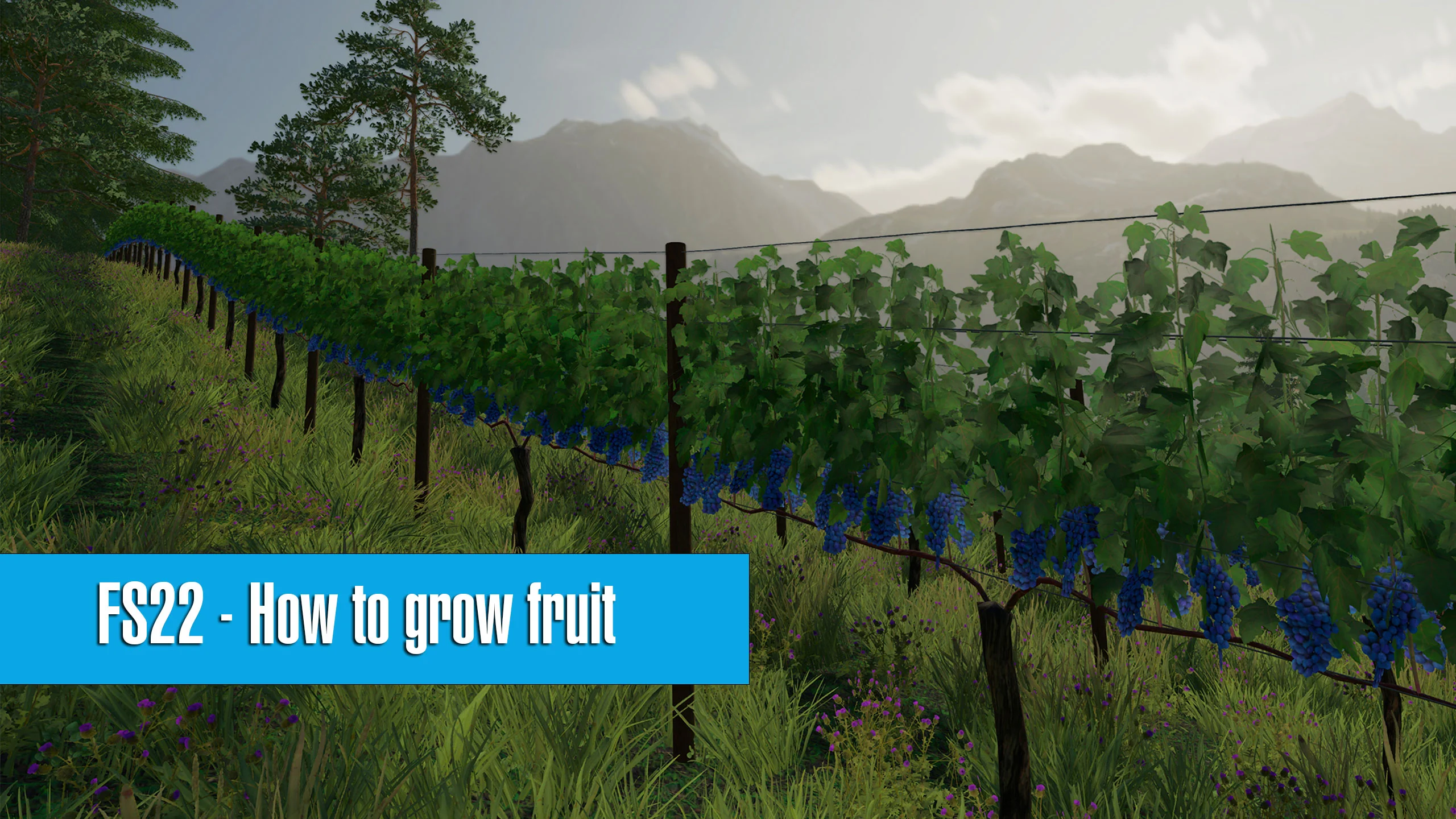 Farming Simulator 22: How to grow fruit FS22 Mod Free Download