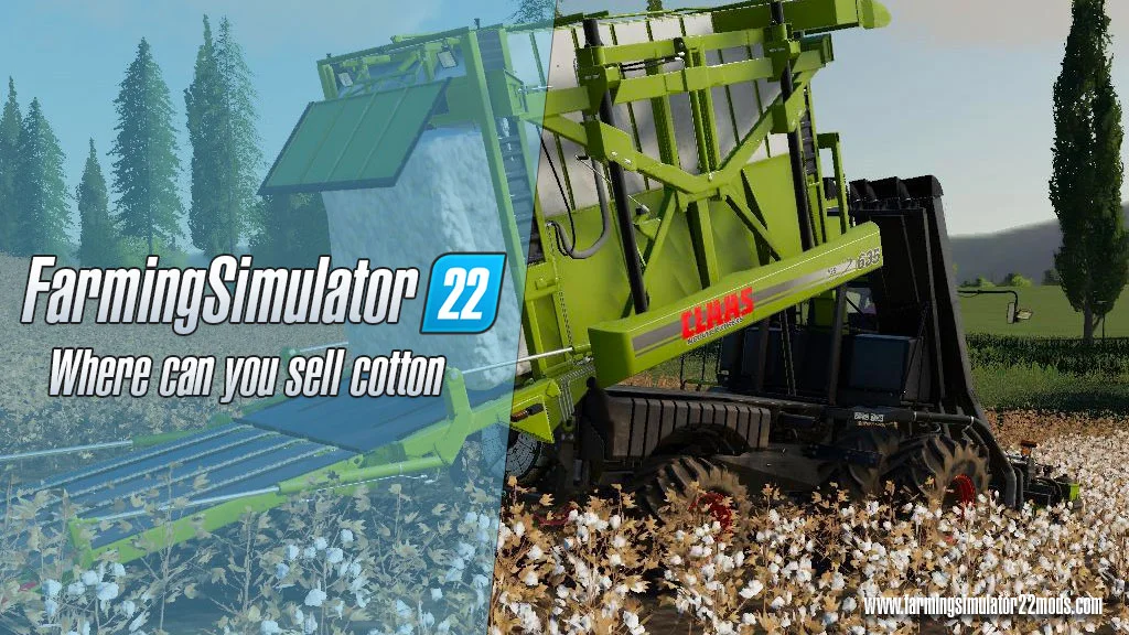 Farming Simulator 22: Where can you sell cotton FS22 Mod Free Download