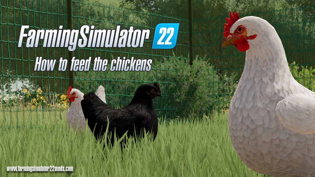 How to feed the chickens in Farming Simulator 22 FS22 Mod Free Download