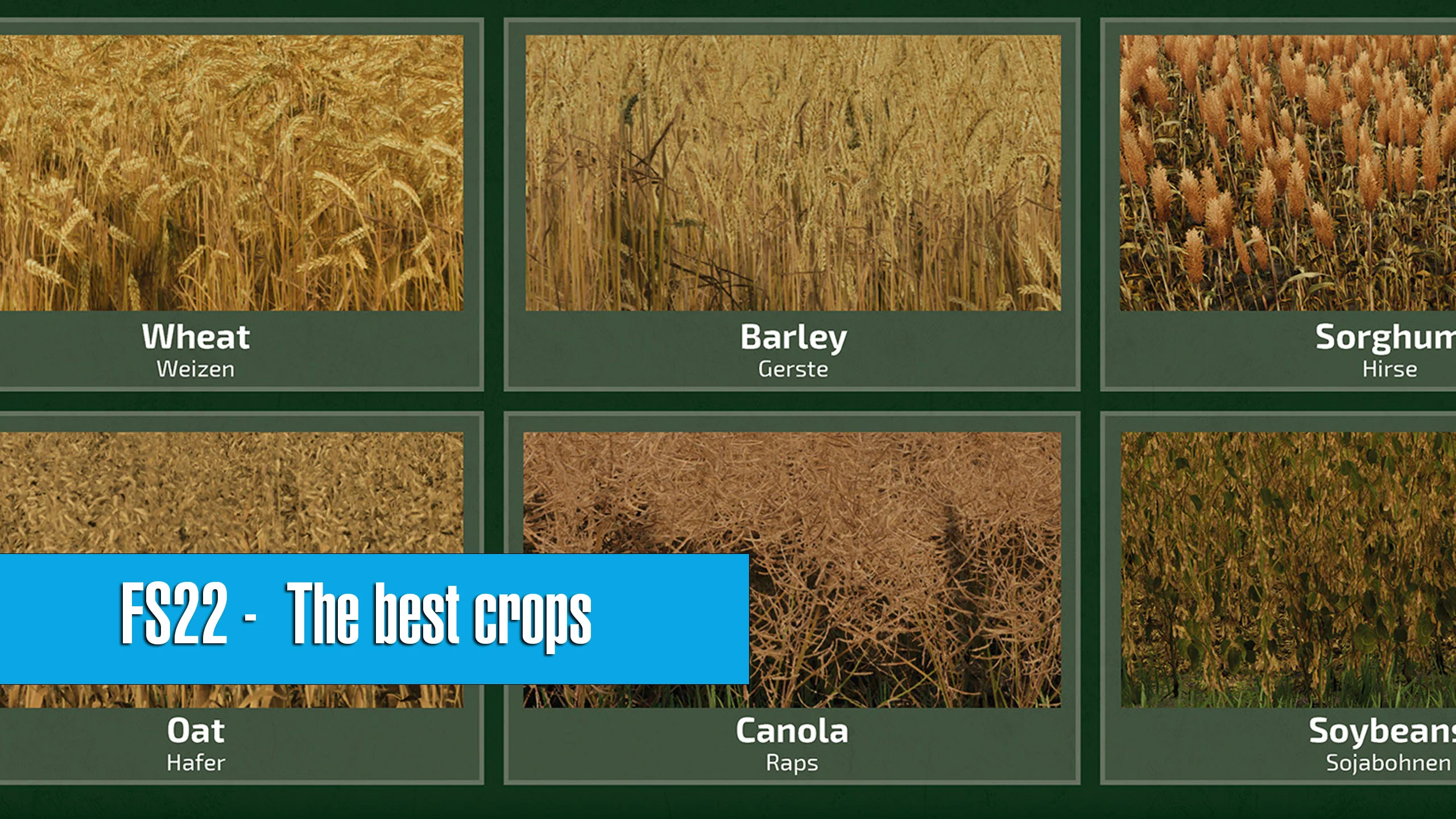 What is the best crop for making money in Farming Simulator 22 FS22 Mod Free Download