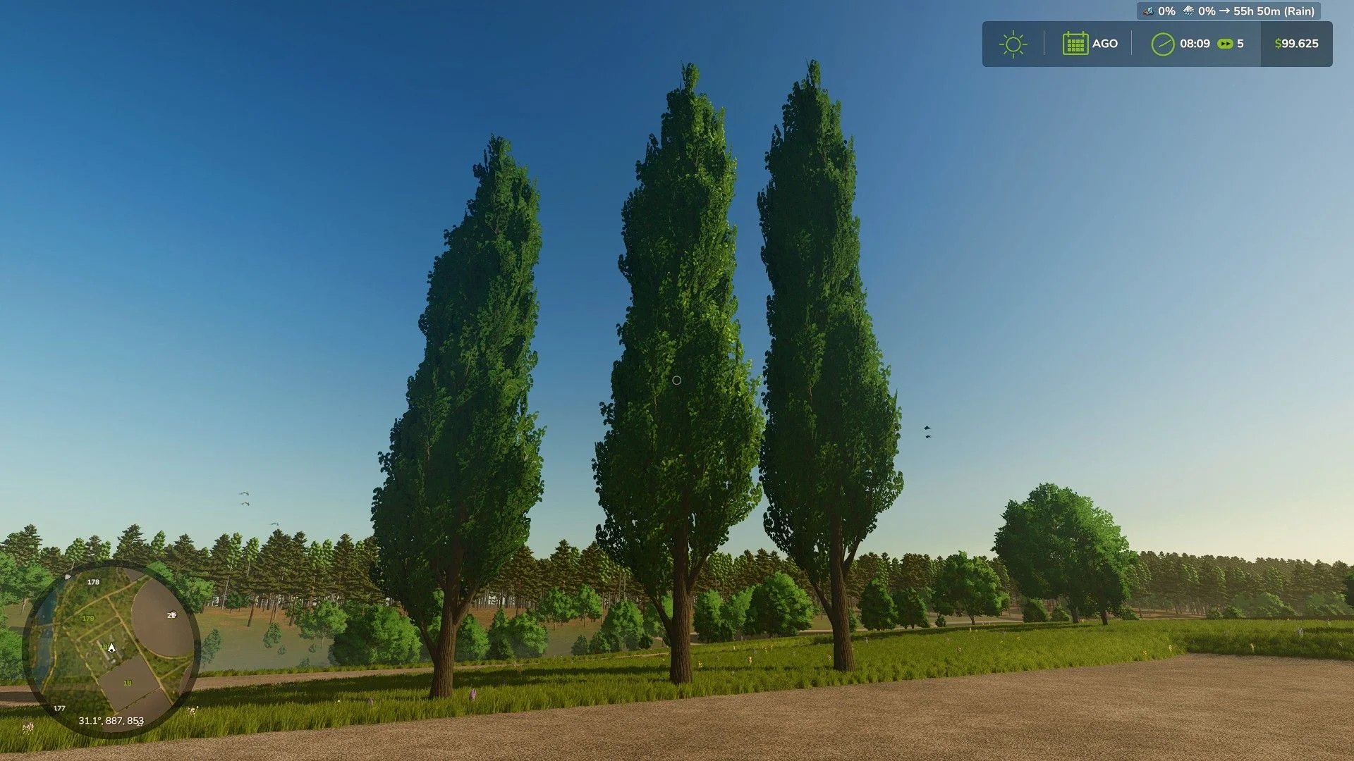 FS25 Black poplar (tree) V1.0 Objects Mod FS25 Mod Free Download