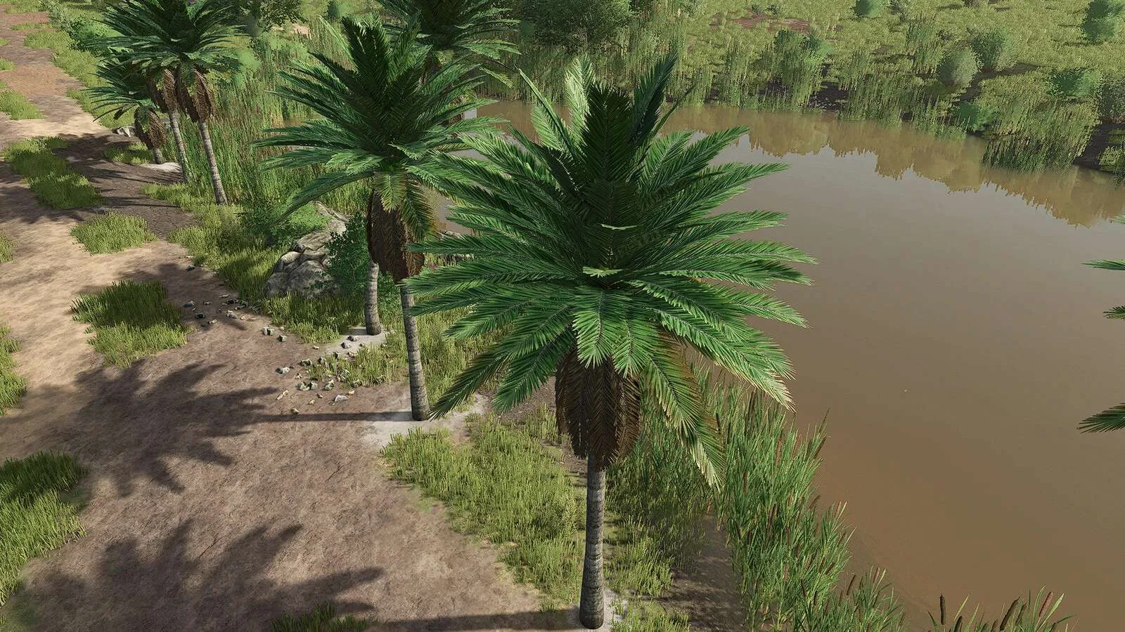 FS25 Coconut Trees v1.0 Objects Mod FS25 Mod Free Download
