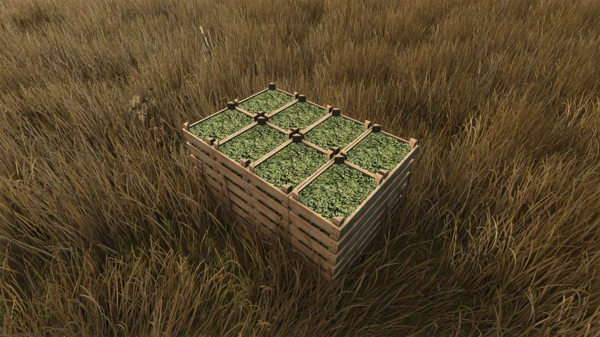 FS25 Hemp Growing v1.0 Objects Mod FS25 Mod Free Download
