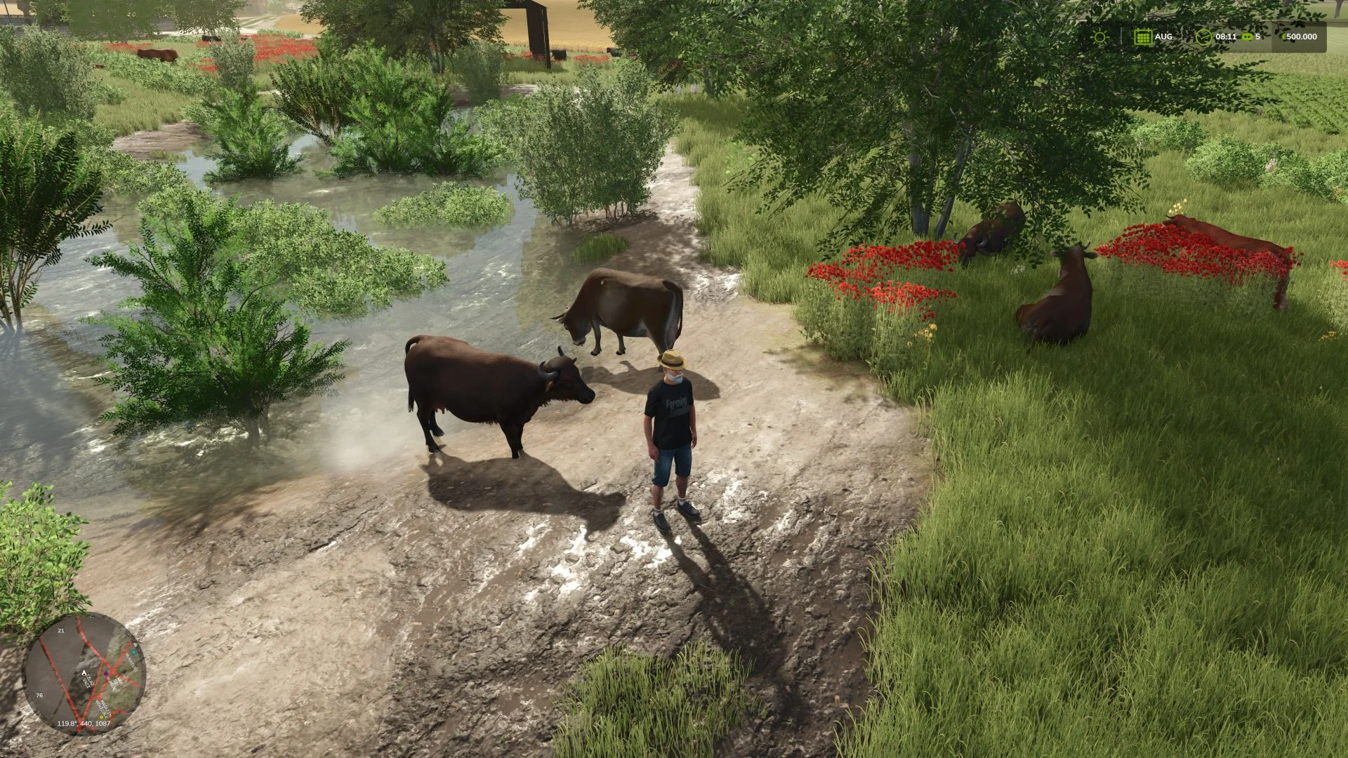 FS25 Baraitaru V1.0.0.1 Maps Mod FS25 Mod Free Download
