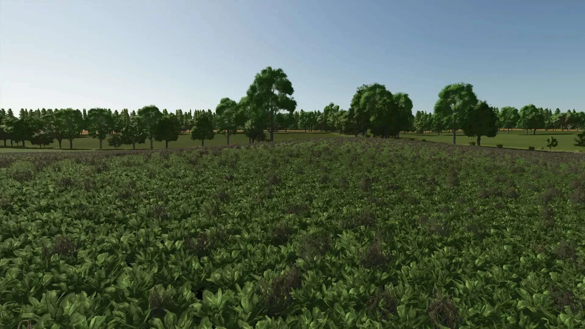 FS25 Cheeky Badger Map 4X V1.2.0.2 Maps Mod FS25 Mod Free Download