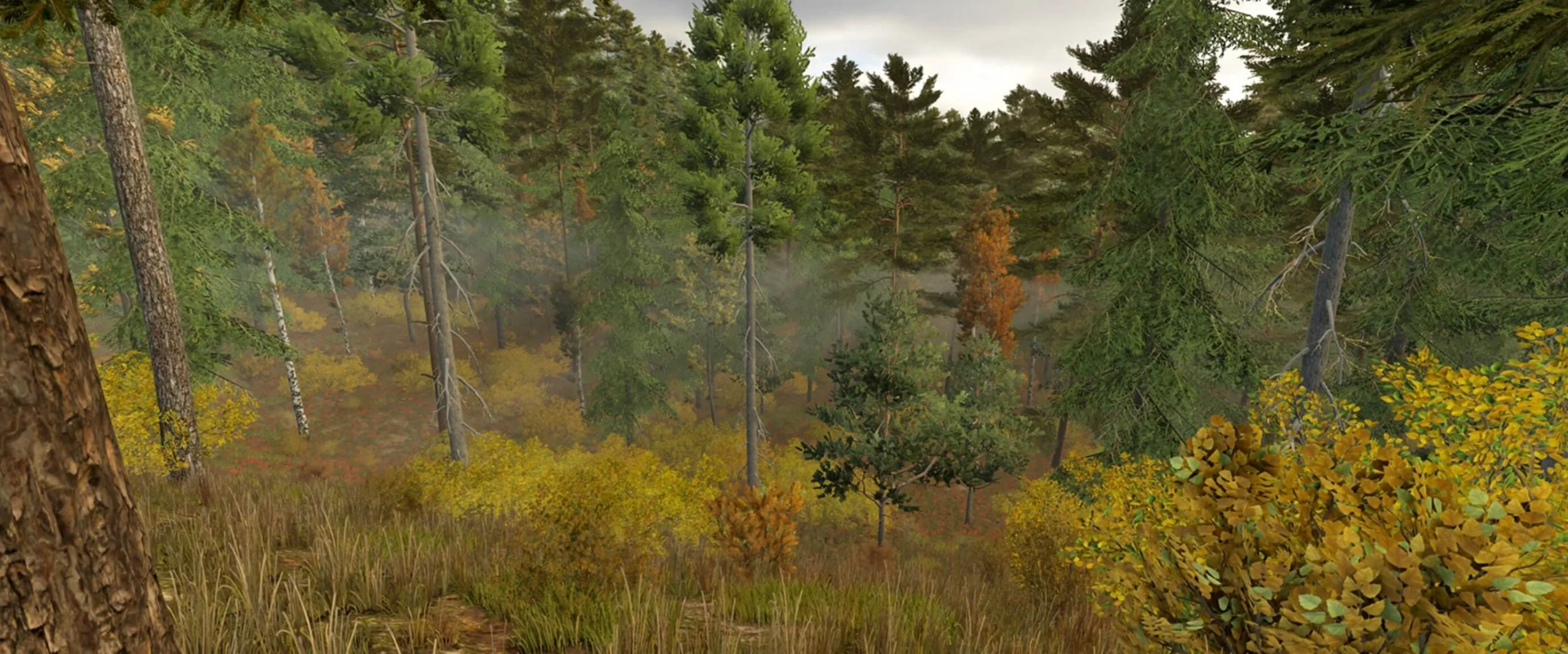 FS25 Ever Green Coast v1.0 Maps Mod FS25 Mod Free Download