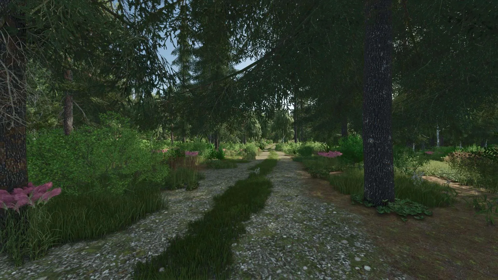 FS25 Forest Valley v1.0 Maps Mod FS25 Mod Free Download