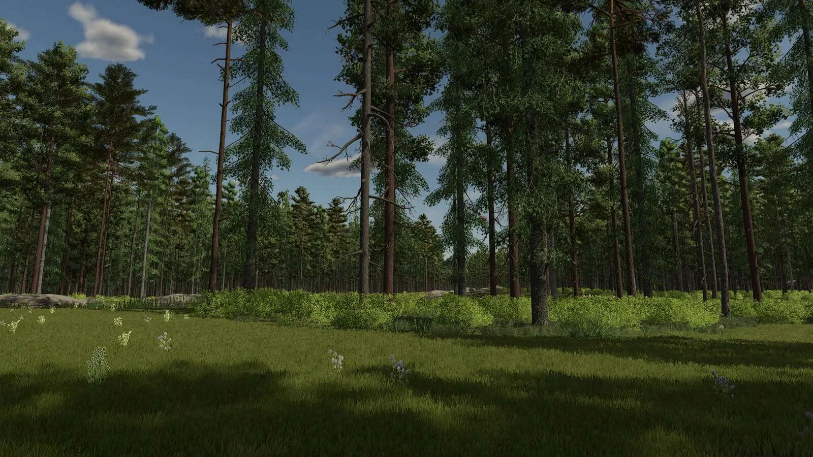 FS25 InTo The Woods v1.0 Maps Mod FS25 Mod Free Download