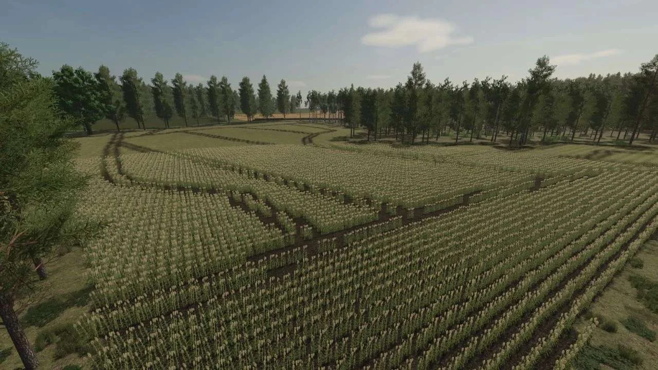 FS25 Pinewood Forest Farming Edition v1.2 Maps Mod FS25 Mod Free Download