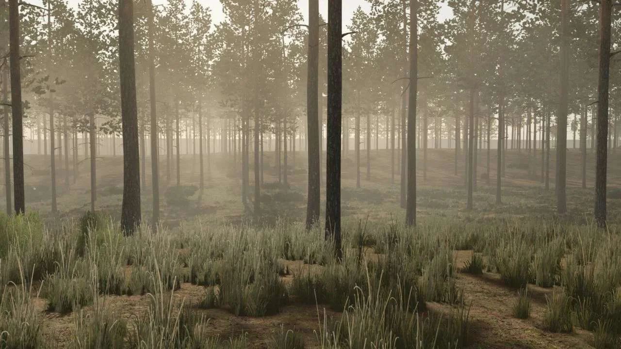 FS25 Pinewood Forest v1.0 Maps Mod FS25 Mod Free Download