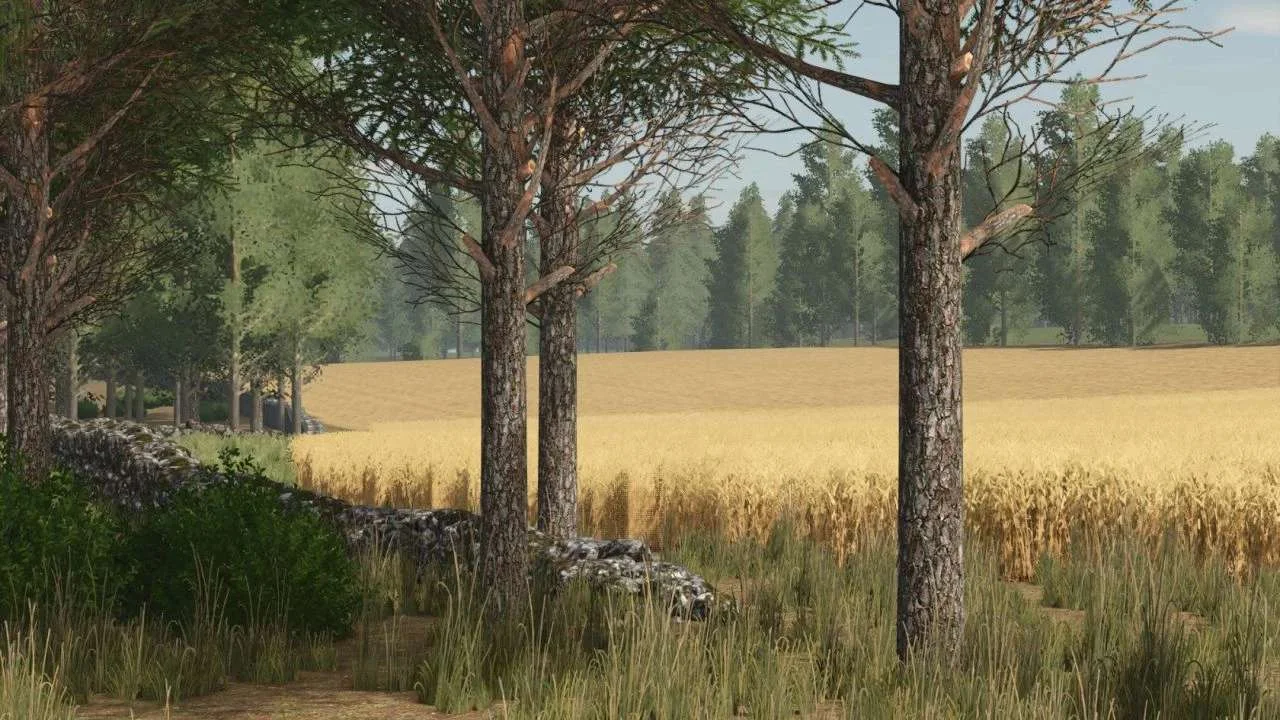 FS25 Pinewood Forest v1.3.1 Maps Mod FS25 Mod Free Download