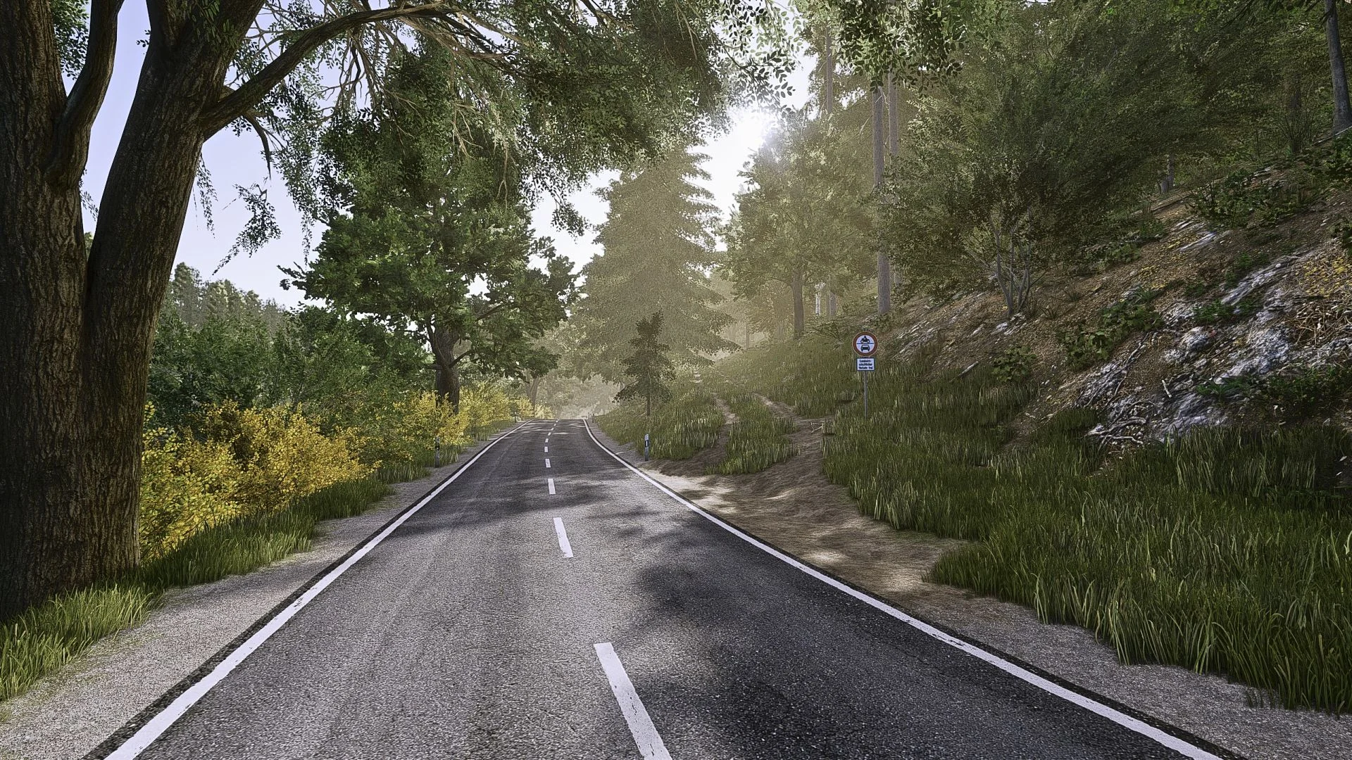 FS25 StockbornerHof RLP x4 BETA v1.0 Maps Mod FS25 Mod Free Download