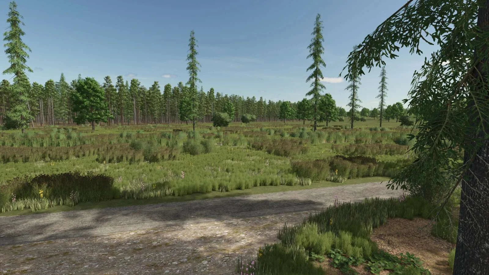 FS25 Sunshine Forest Map v1.0 Maps Mod FS25 Mod Free Download