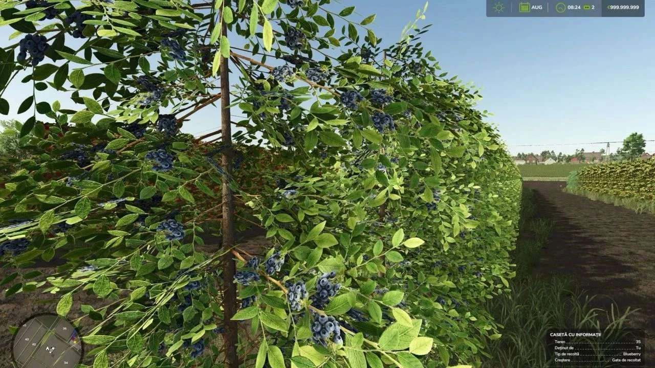 FS25 Zielonka Real Orchards Multifruit Beta 2 v1.0 Maps Mod FS25 Mod Free Download