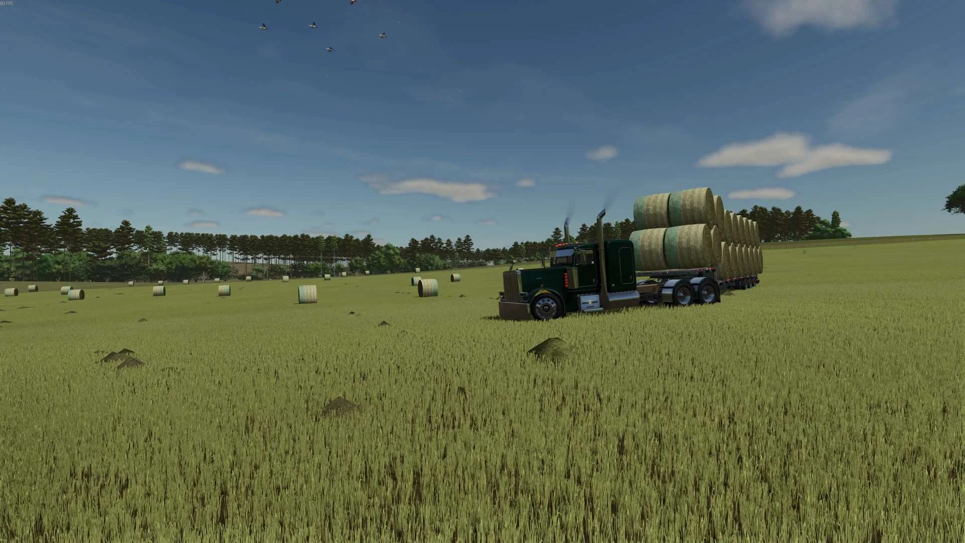FS25 American Flag Net Wrap (Hay Texture) v1.0 Other Mod