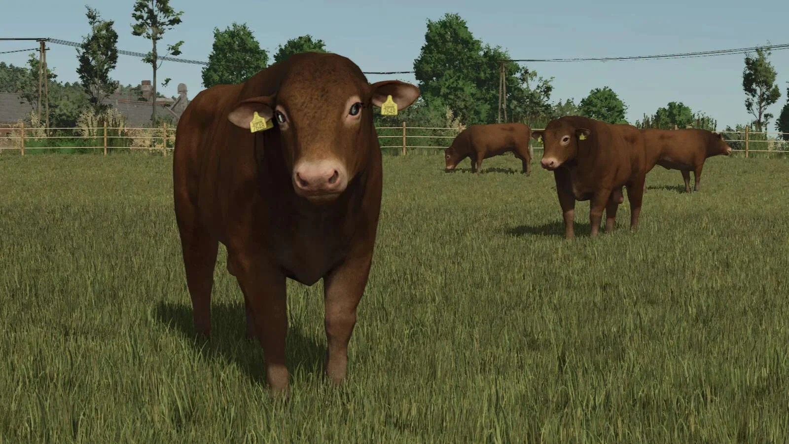 FS25 Animal Package Vanilla Edition v1.0 Other Mod FS25 Mod Free Download