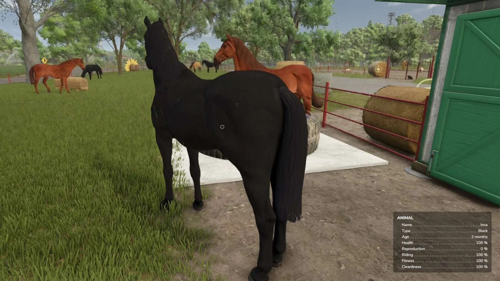FS25 Auto Horse Care v1.0 Other Mod FS25 Mod Free Download