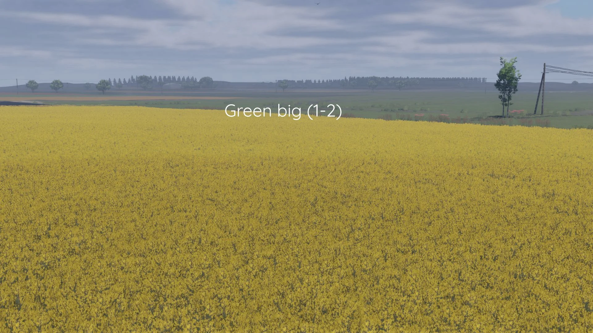 FS25 Better canola texture V1.0 Other Mod