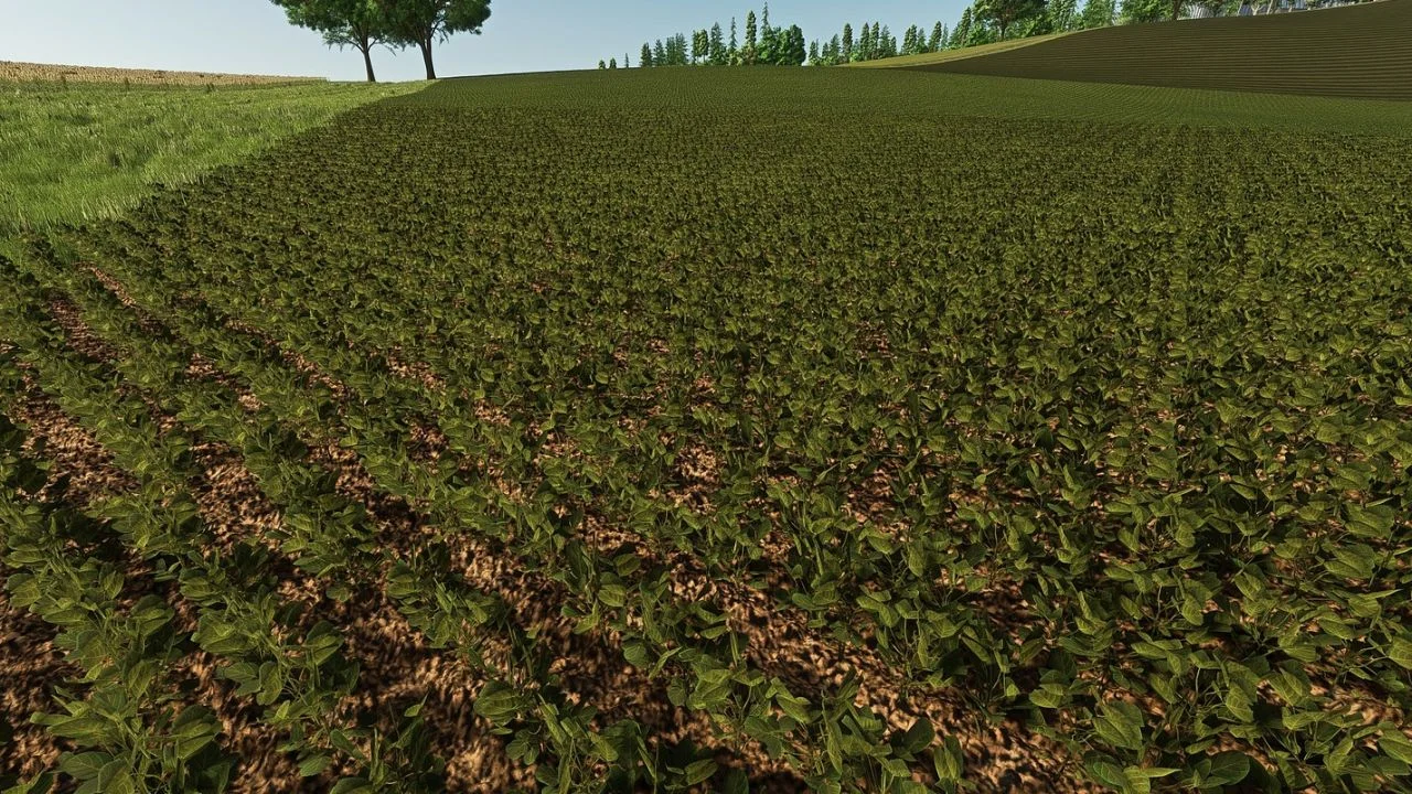 FS25 Fababean – broad beans (Prefab) V1.0 Other Mod