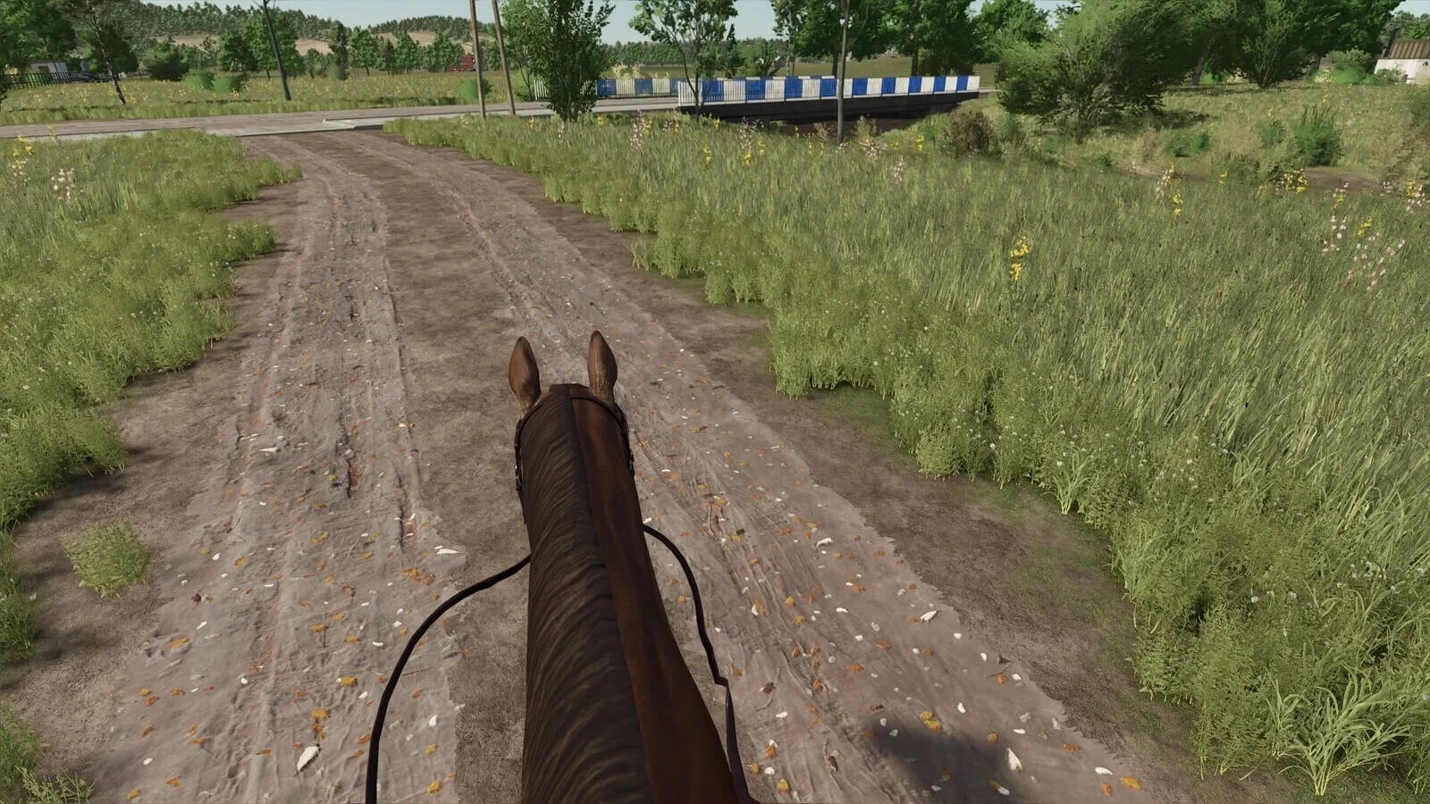 FS25 First Person Horse Riding Camera v1.0 Other Mod FS25 Mod Free Download