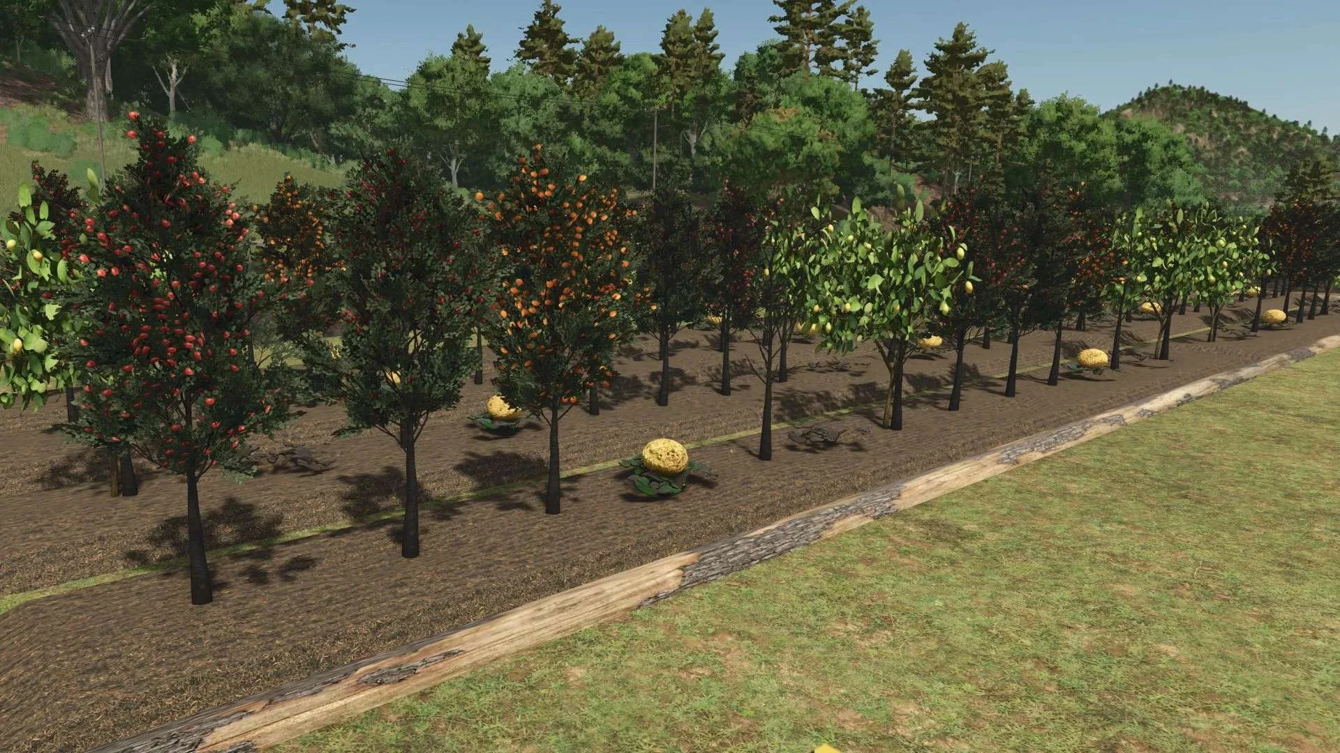 FS25 Fruit orchards v1.0.1 Other Mod FS25 Mod Free Download