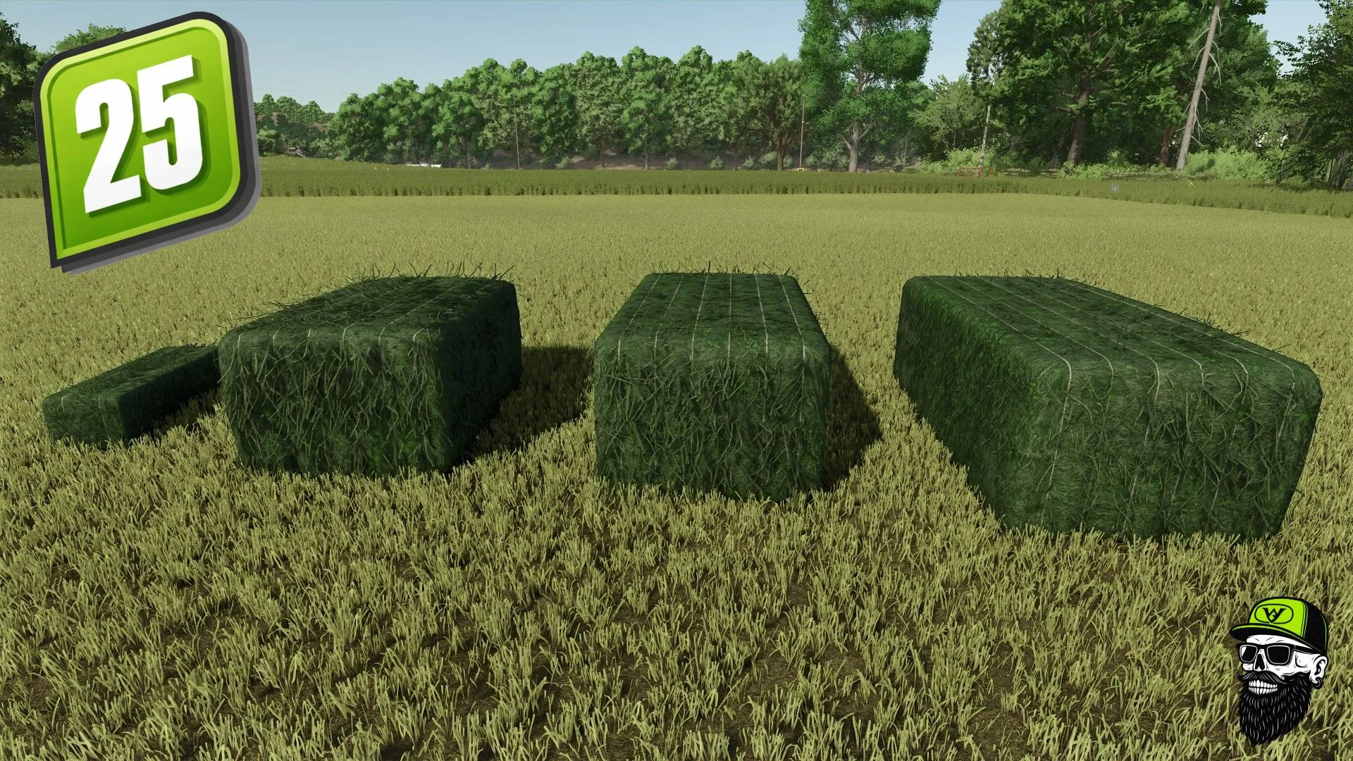 FS25 Grass/Hay Bale Textures V1.0 Other Mod