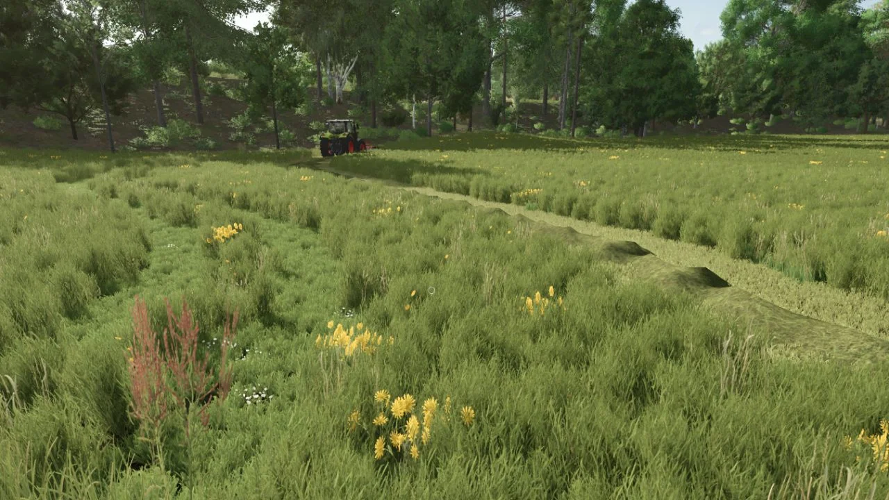 FS25 Grass with Dandelions and Daisies V1.0.0.2 Other Mod FS25 Mod Free Download