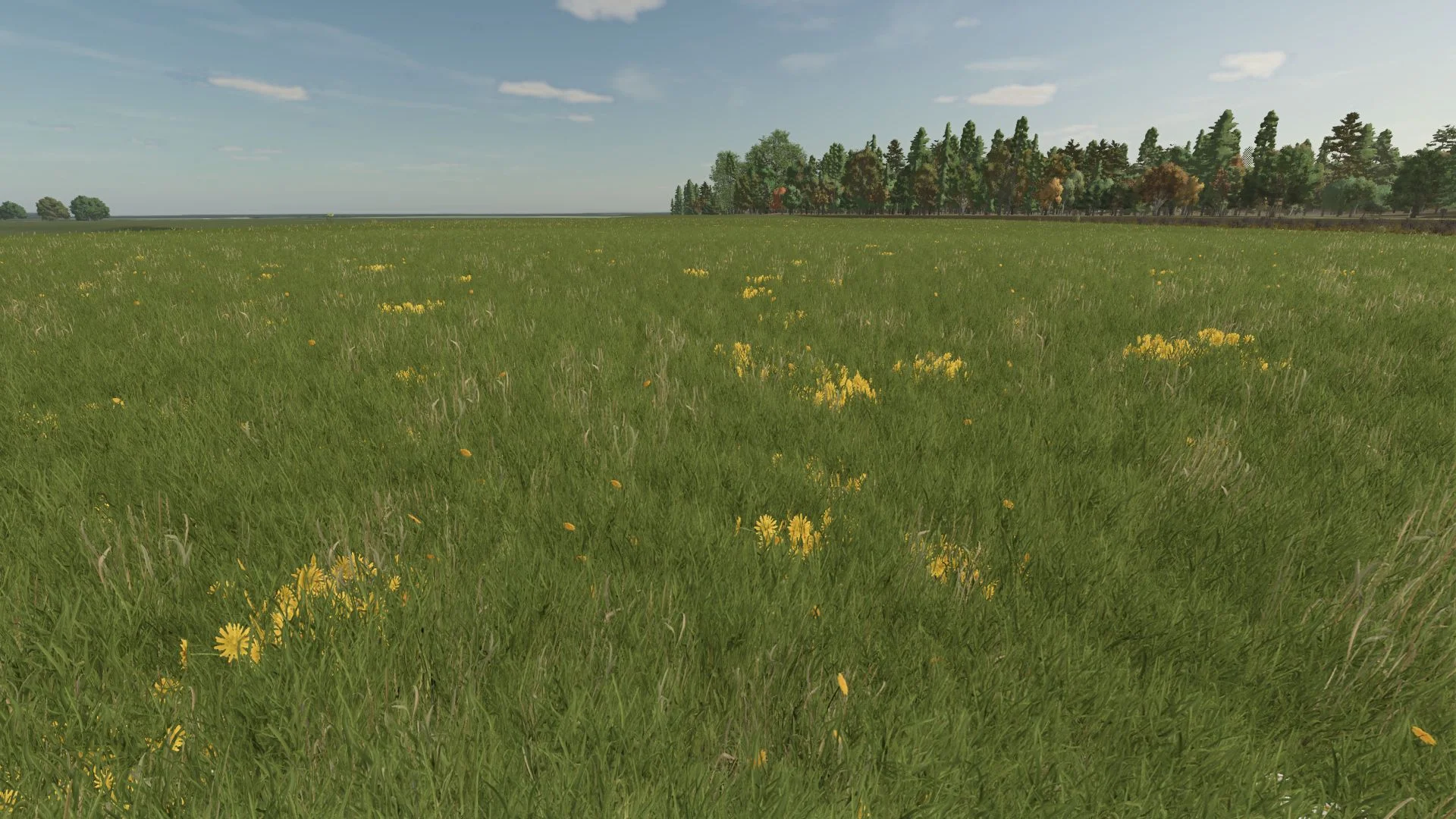 FS25 Grass with Dandelions and Daisies V1.0 Other Mod FS25 Mod Free Download