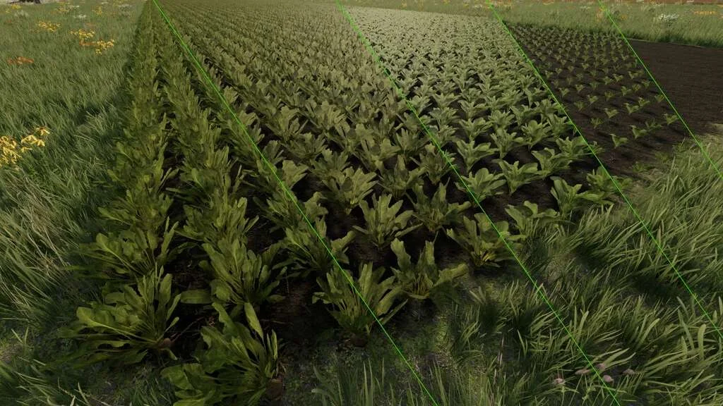 FS25 Grow Now v1.0 Other Mod FS25 Mod Free Download