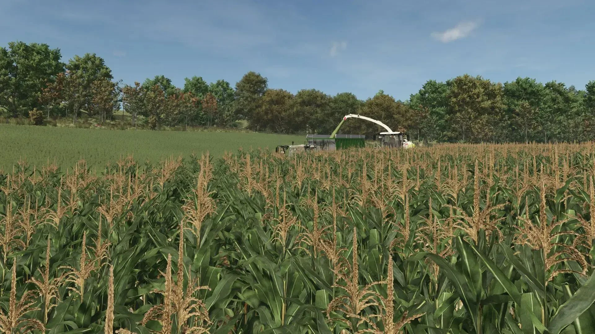 FS25 Improved Corn Texture V1.0.0.1 Other Mod FS25 Mod Free Download